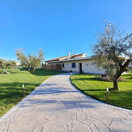 La Campagna Di Peppe E Tullia Bed and Breakfast Φόρμια Εξωτερικό φωτογραφία
