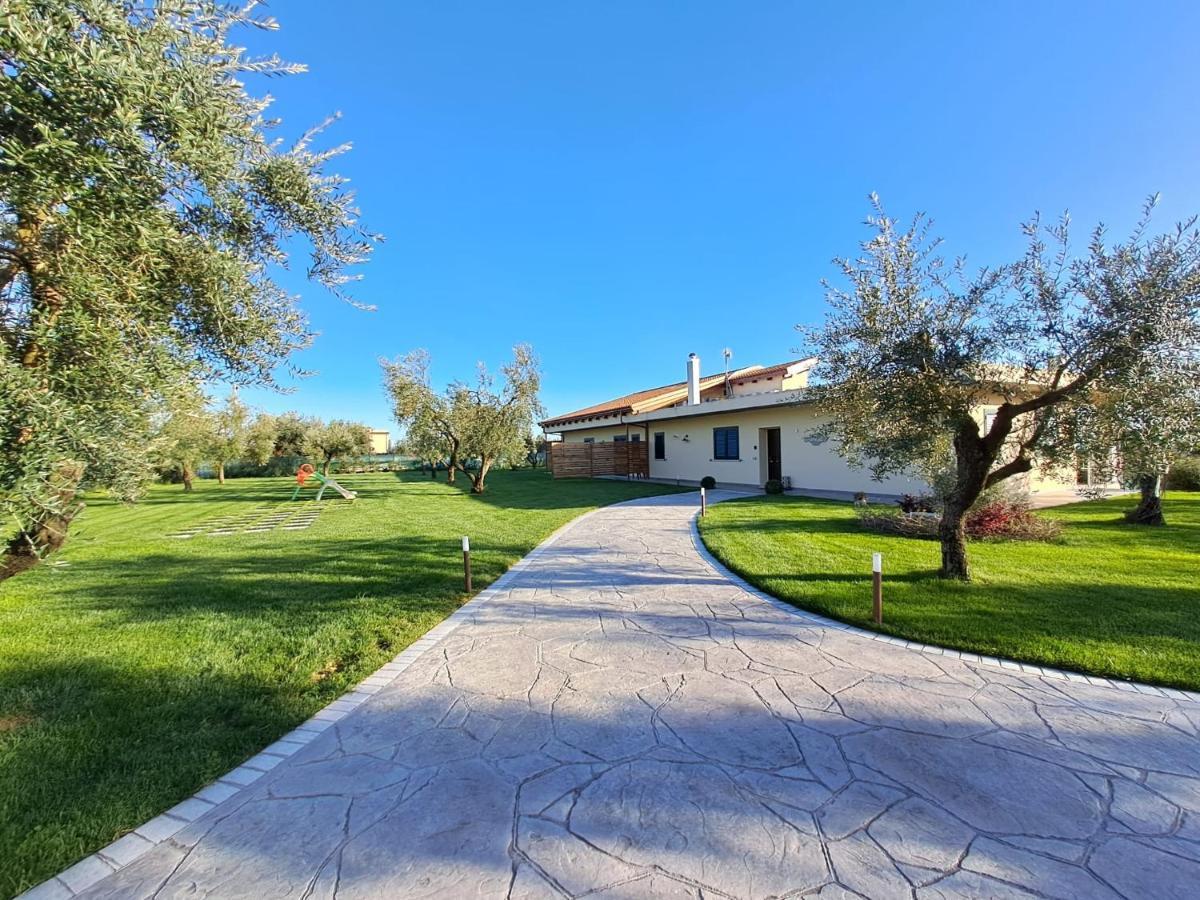 La Campagna Di Peppe E Tullia Bed and Breakfast Φόρμια Εξωτερικό φωτογραφία