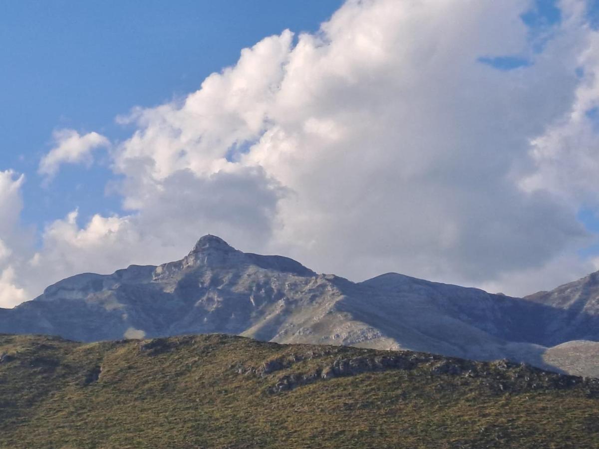 La Campagna Di Peppe E Tullia Bed and Breakfast Φόρμια Εξωτερικό φωτογραφία