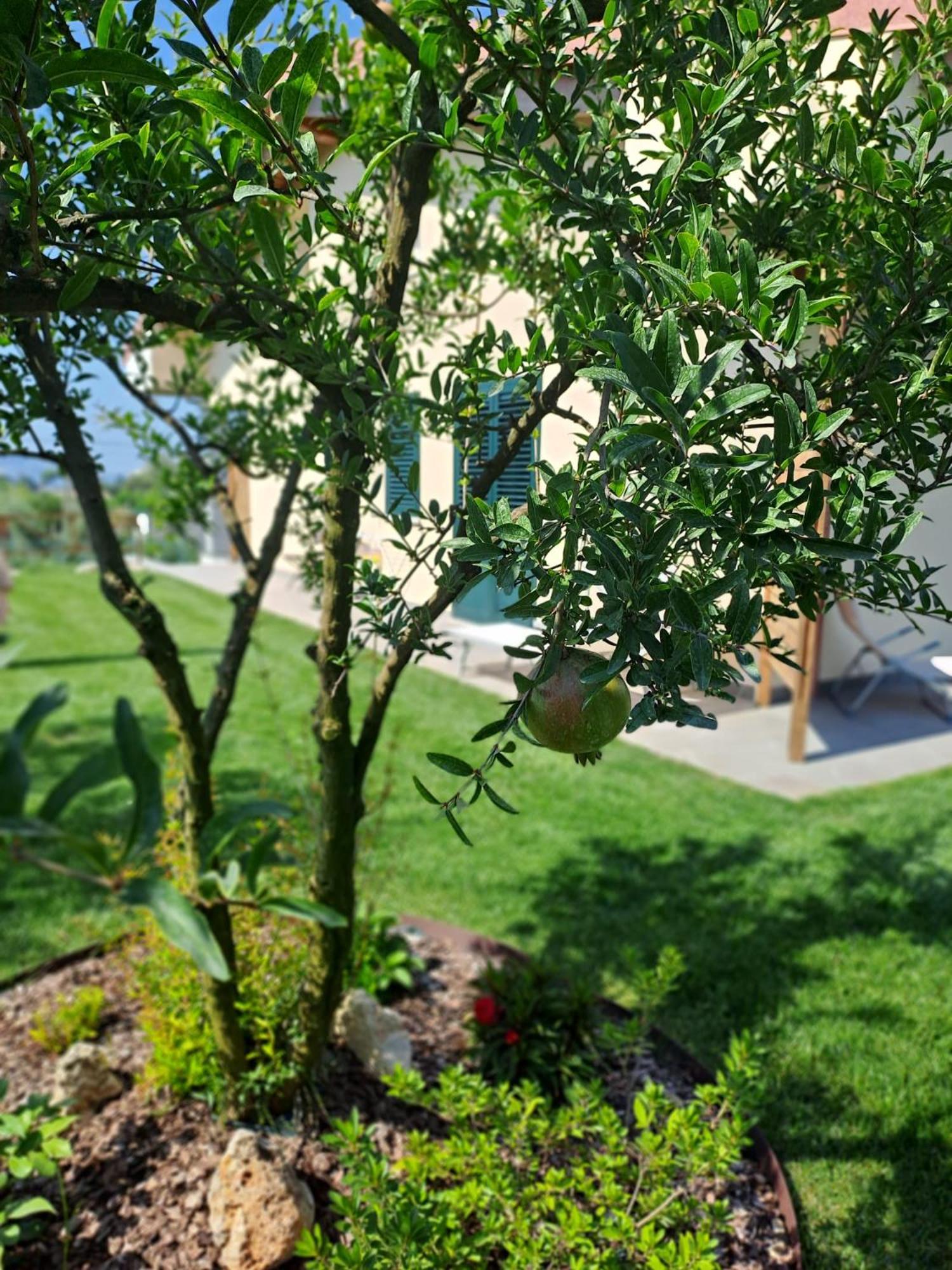 La Campagna Di Peppe E Tullia Bed and Breakfast Φόρμια Εξωτερικό φωτογραφία